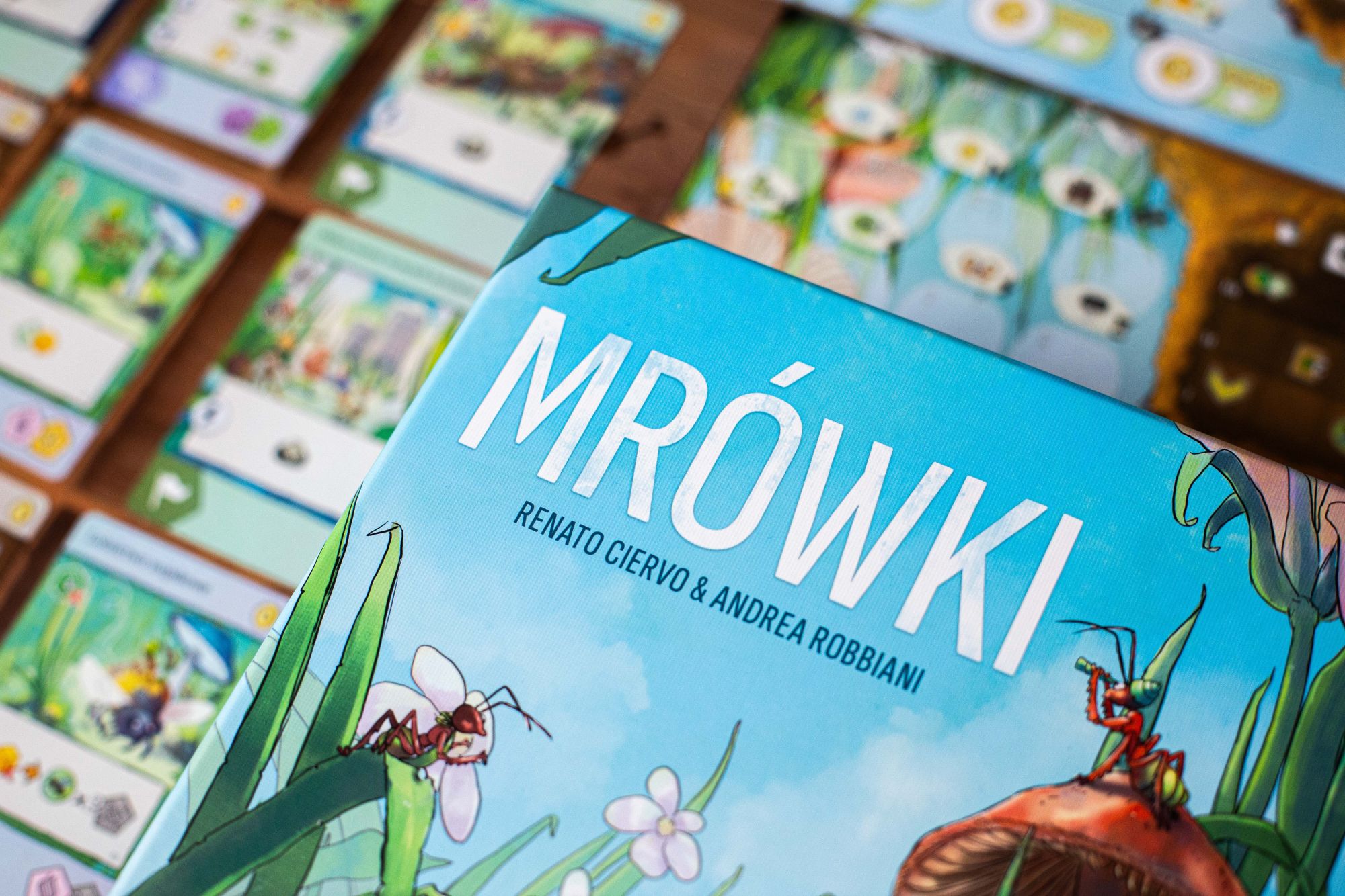 Mrówki - obrazek 3